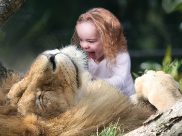 Child_lion